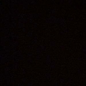 Meet your Posher, Wesley